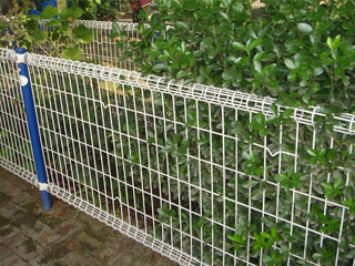 雙圈護(hù)欄網(wǎng) 雙圈護(hù)欄網(wǎng)